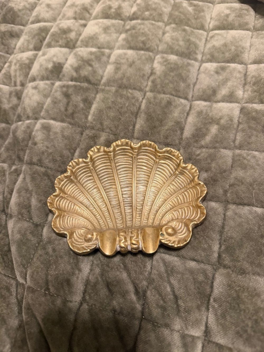 Shell trinket dish